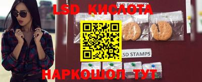 винт Кандалакша