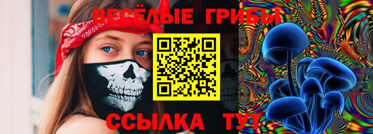 Псилоцибиновые грибы прущие грибы  Псилоцибиновые грибы MAGIC MUSHROOMS  Вход с VPN  Лесозаводск 